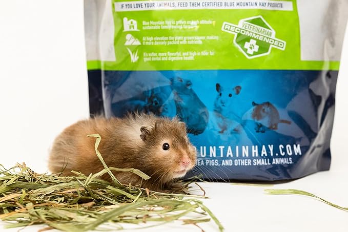 Blue Mountain Hay | Fresh Timothy Hay (10 Pounds) | Great for All Ages | High-Altitude Hay Pet Food for Rabbits, Guinea Pigs, Chinchillas, Hamsters, and Other Small Pets