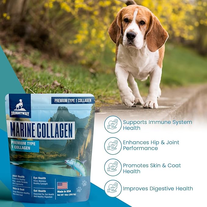 Wild Caught Marine Pet Collagen for Dogs, Peptide for Dogs - Improves Gut, Skin & Coat Health, Allergies, Pet Mobility Hip & Joint Supplement Health