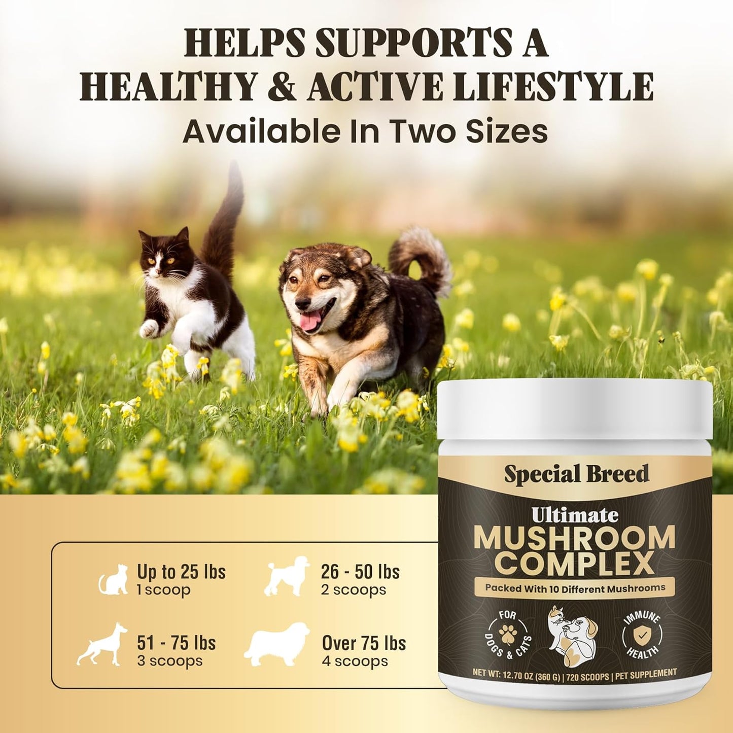 Mushroom Powder for Dogs & Cats - Organic Mushroom Complex for Immunity Support, Immune Function, Cognition, Vitality - Ten Mushroom Supplement with Turkey Tail, Lion's Mane, Reishi - 720 Scoops