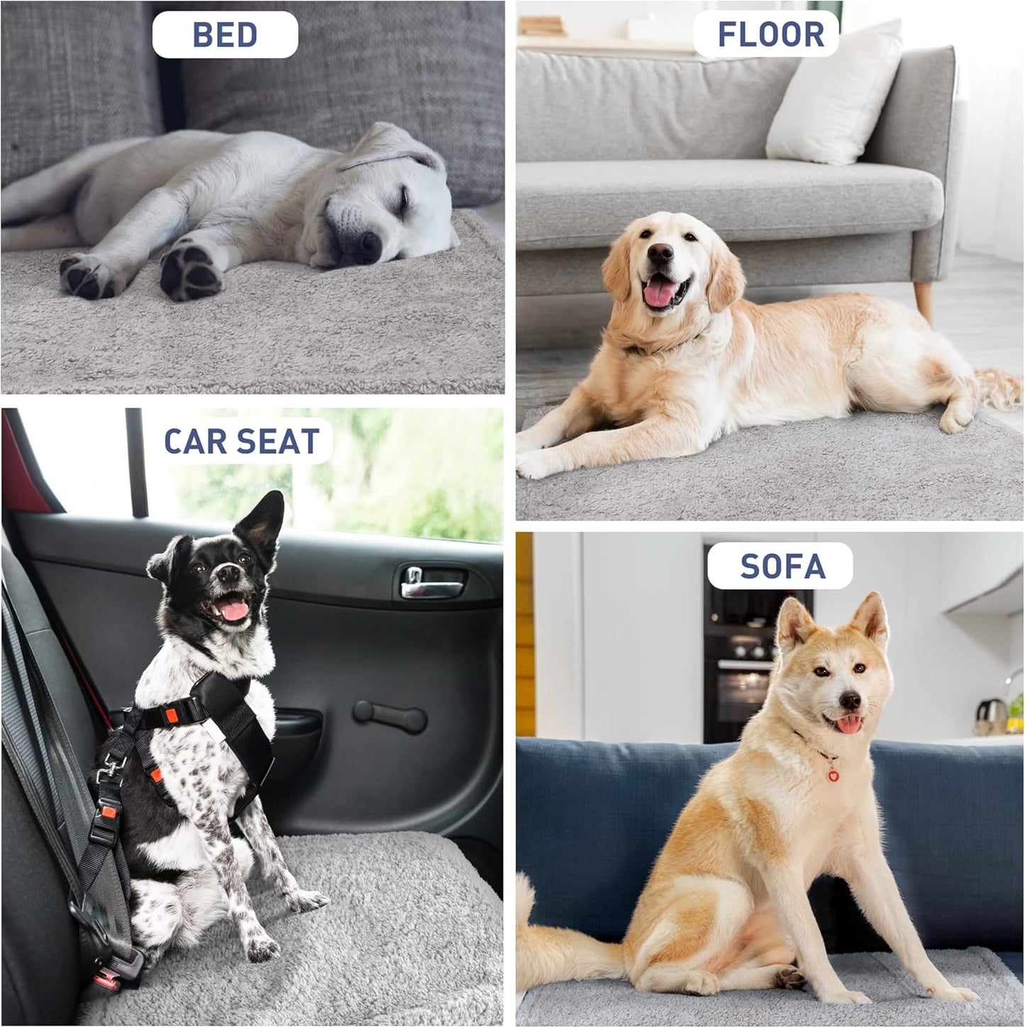 Kritter Planet Waterproof Dog Blanket, Reversible Water Proof Pet Blanket for Couch, Bed & Car, Washable Couch Covers for Medium Dogs - Protects Furniture from Fur, Dirt, and Accidents