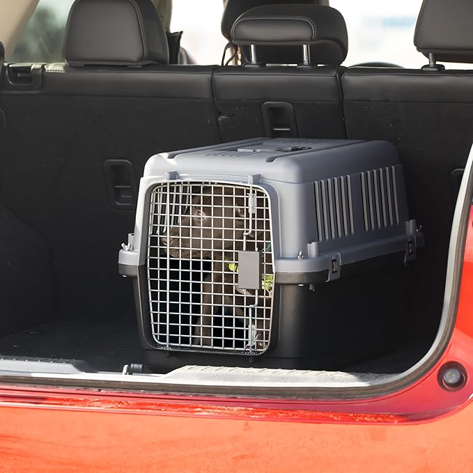 SportPet Designs Plastic Airline Approved Kennels Wire Door Travel Dog Crate, Medium