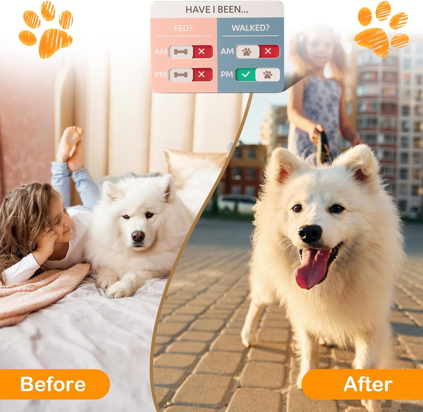 Dog Feeding Reminder Sign, Pet Feeding Tracker with Magnet, AM PM Daily Acrylic Slider Board for Fridge Wall Mounting, Plus Walking Reminder, Blue and Pink, 6.8" x 4.7" Pet Supplies