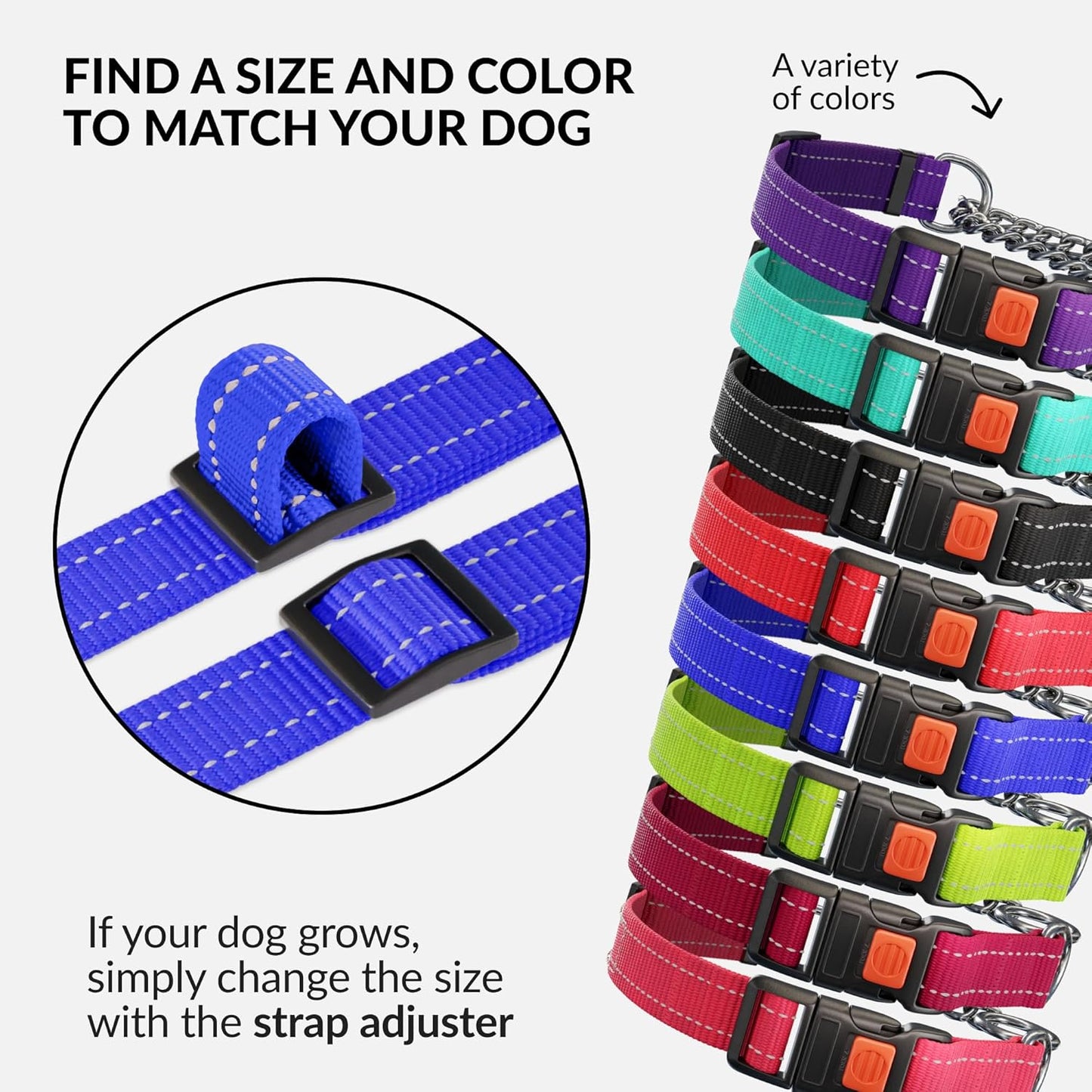 CollarDirect Martingale Dog Collar with Stainless Steel Chain and Quick Release Buckle - Reflective Collar for Large, Medium, Small Dogs - Blue, Small (Neck Size 12"-15")