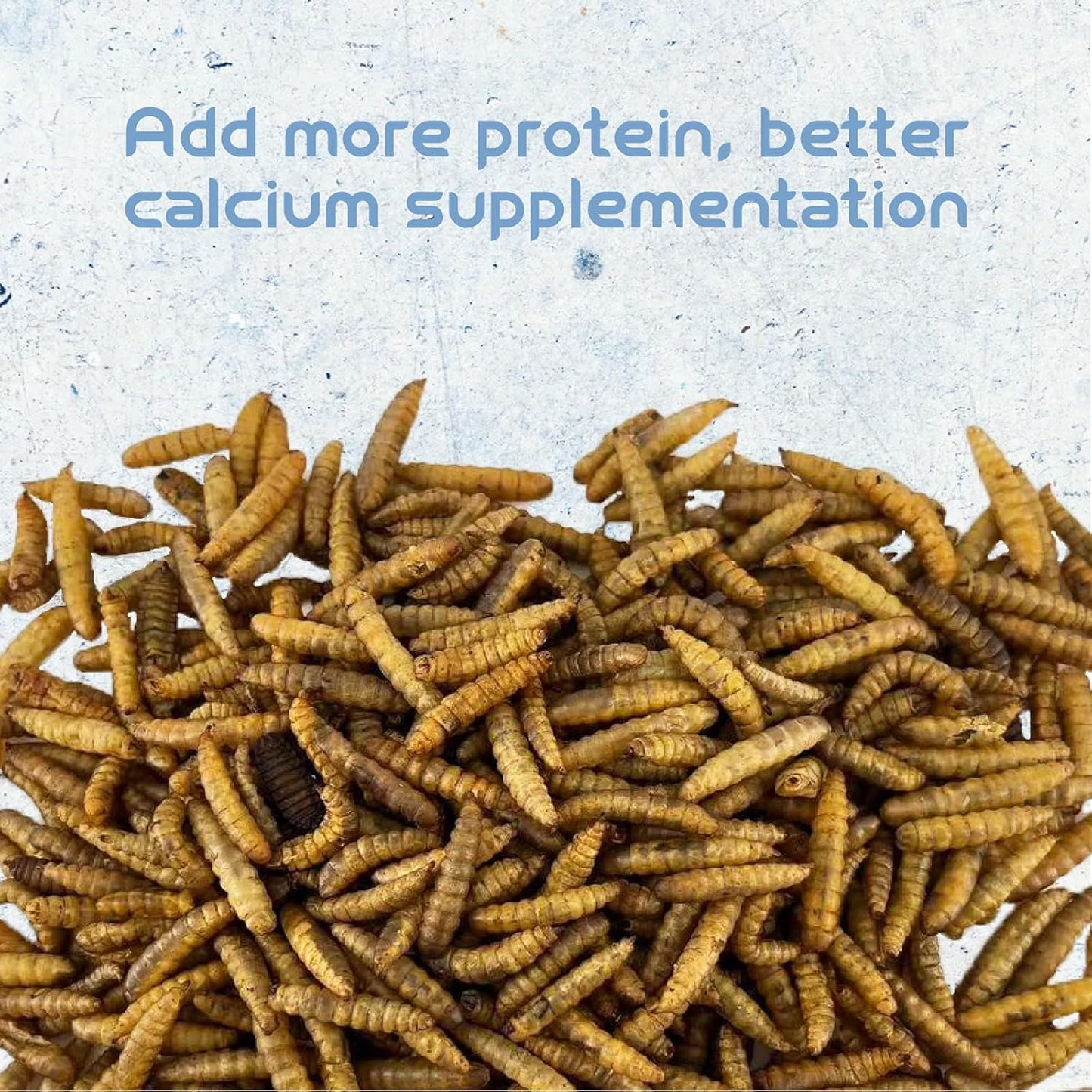 Dried Black Soldier Fly Larvae BSFL High-Protein Natural Pet Food for Lizards, Hamsters, Chickens & Ducks Pet Snack (1LB)