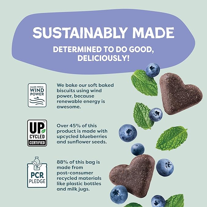 Shameless Pets Soft-Baked Dog Treats, Blueberried Treasure - Natural & Healthy Chews with Mint for Immune Support - Dog Biscuits Baked & Made in USA, Free from Grain, Corn & Soy - 1 Pound (Pack of1)