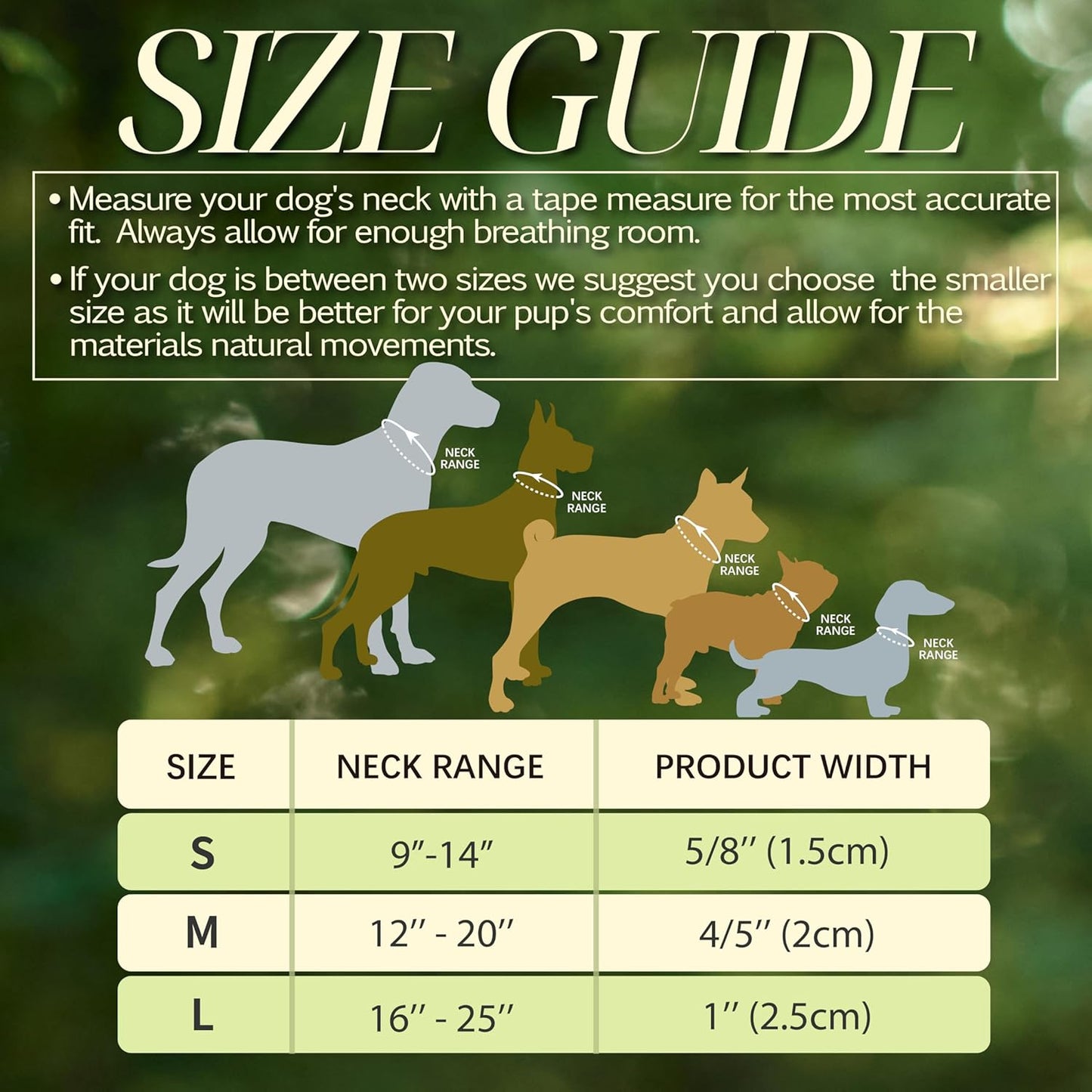 Medium Dog Collar with Reflective Logo and Soft Padded Neoprene,Floral Print Design, Adjustable,Lightweight & Durable, Neck Size 12’’-20’’ (Floral, M)