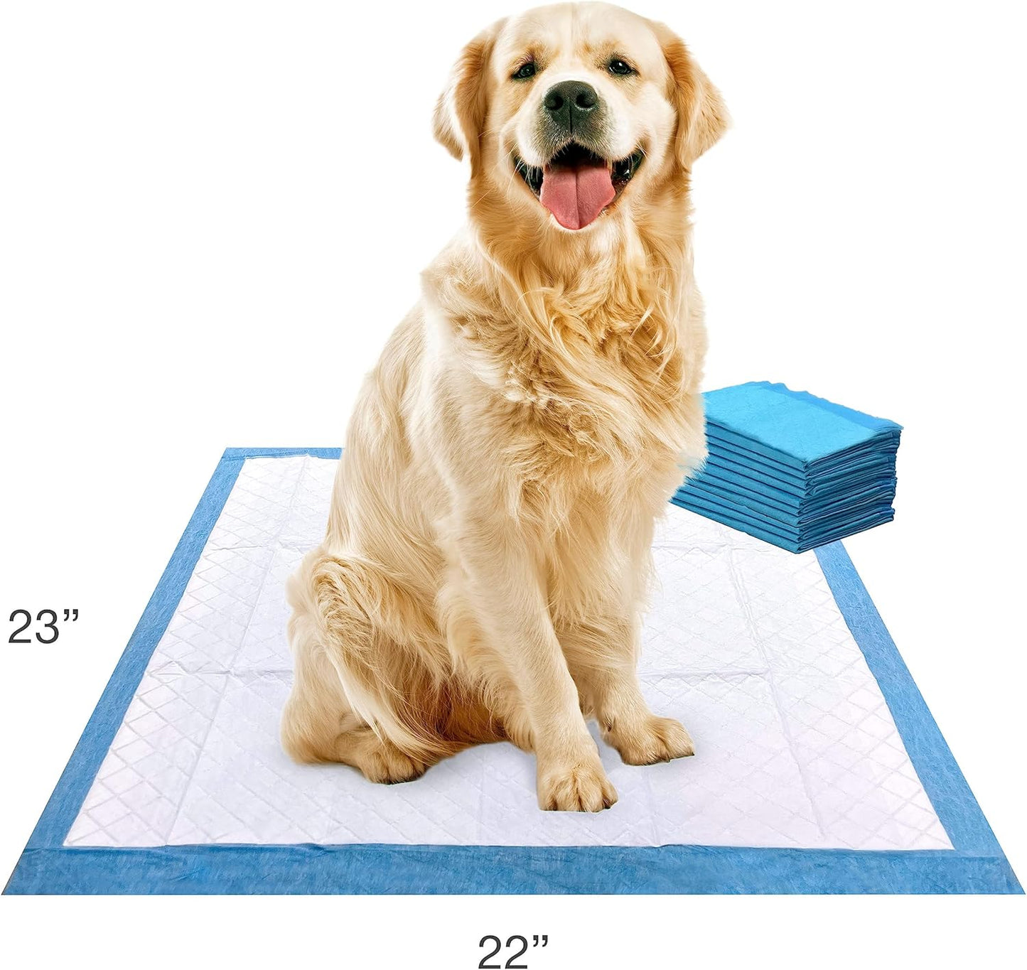 Four Paws Wee-Wee Superior Performance Unscented Pee Pads for Dogs & Puppies, Quilted Leak-Proof Dog Housebreaking Potty Training Floor Protection, 22" x 23", 10 Count