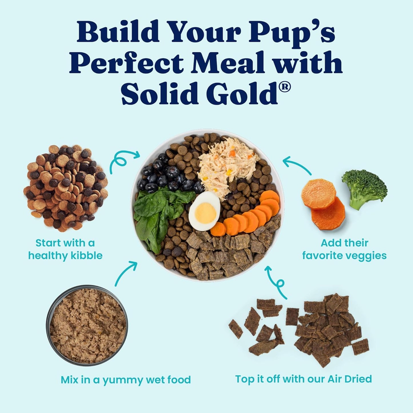 Solid Gold Canned Dog Food for Adult, Puppy & Senior Dogs - High Calorie, High Protein Wet Dog Food w/Real Chicken, Whole Grains & Superfoods for Gut Health - Small, Medium & Large Breed Dogs -6 Pack