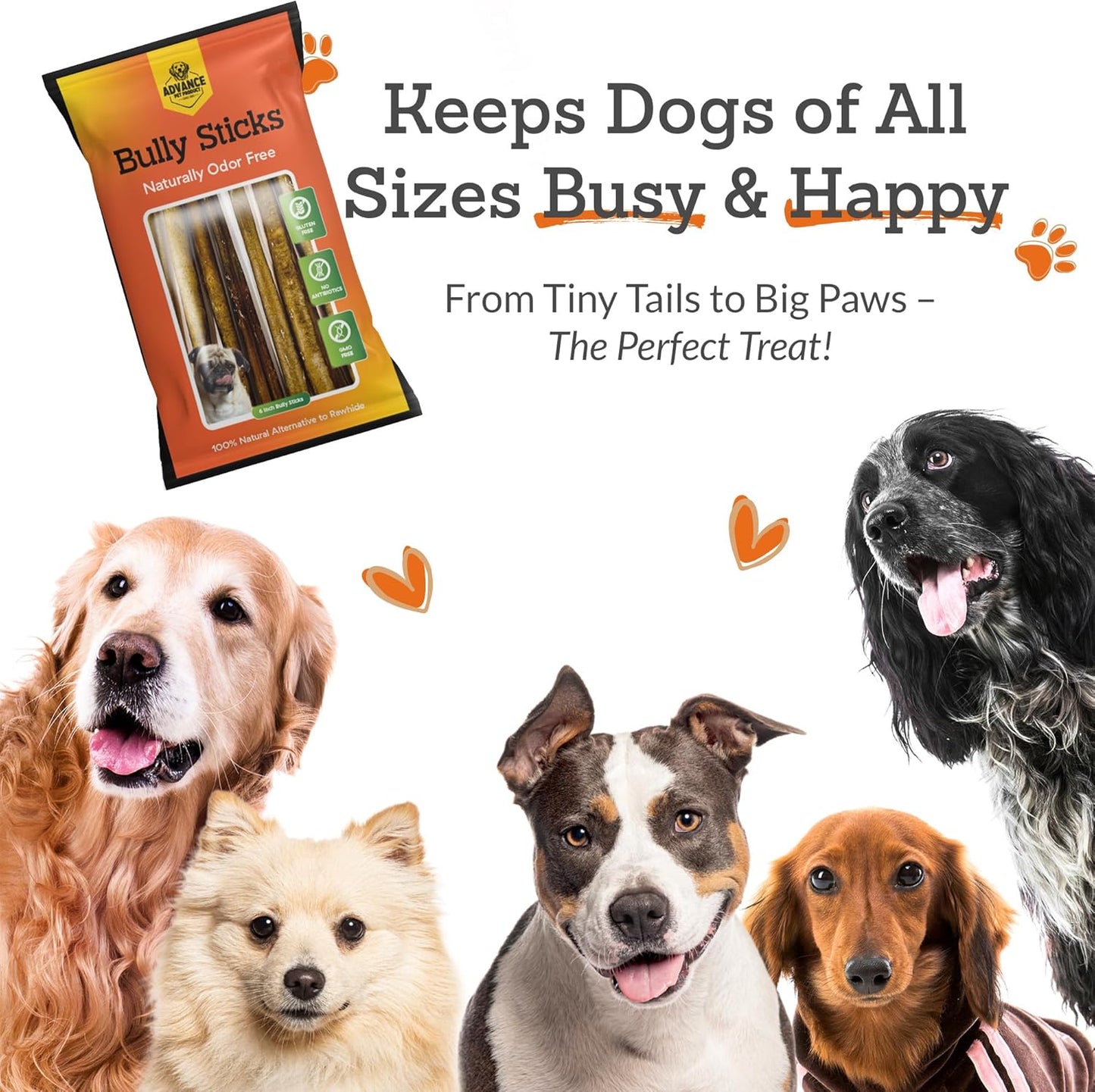 Advance Pet Products 6 Inch Bully Sticks (Pack of 5) - 100% Beef, Odor Free Dog Chews for Aggressive Chewers - Long Lasting, Gluten-Free, Easy to Digest, High Protein & Rawhide Free Chews for Dogs