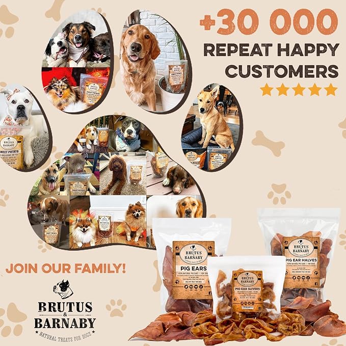 BRUTUS & BARNABY Pig Ears for Dogs, 25 Ct. – Whole or Half, All Natural Single Ingredient Dog Chews, Slow Cooked & Fully Digestible Rawhide Alternative