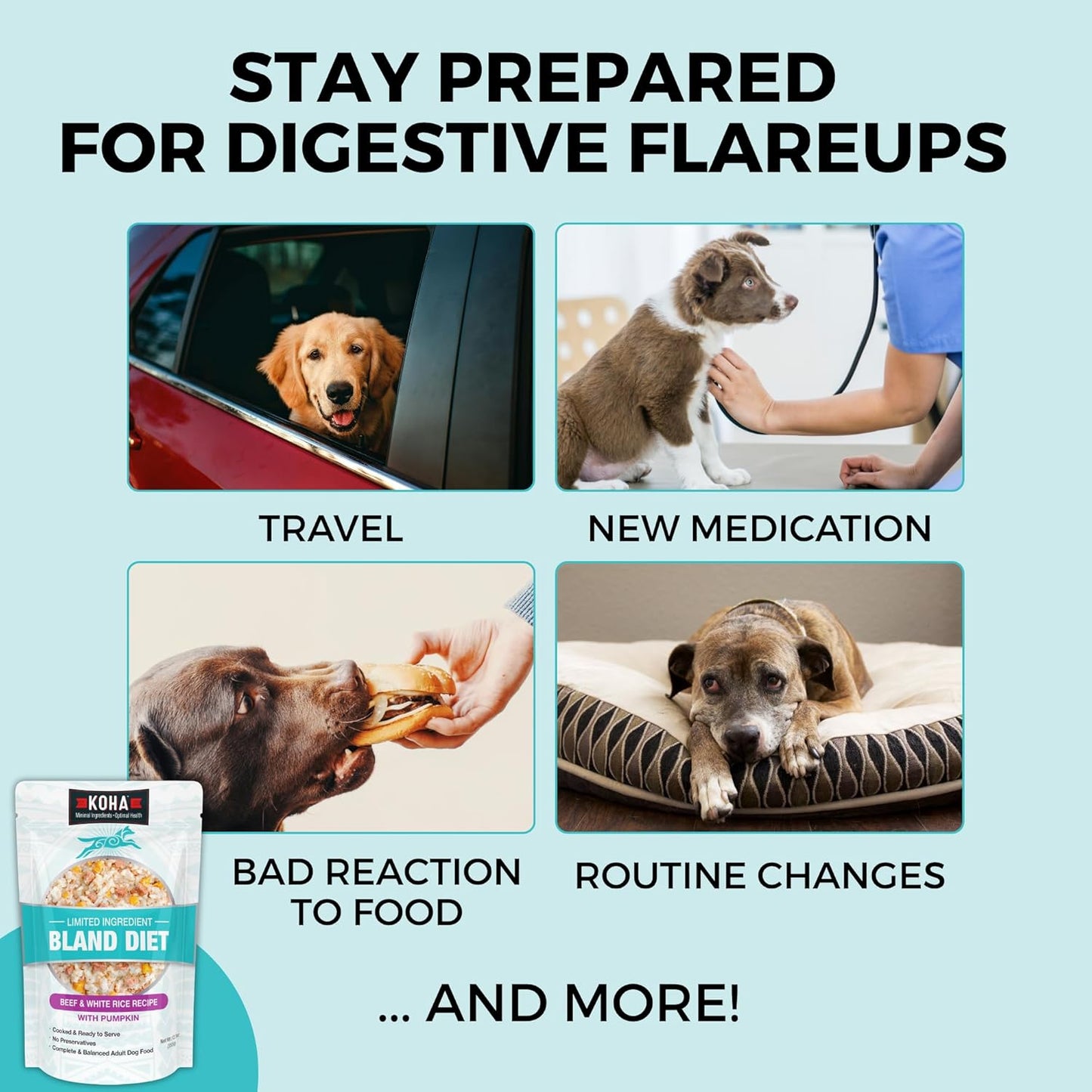 KOHA Limited Ingredient Bland Diet for Dogs, Beef and White Rice Sensitive Stomach Wet Dog Food, Sold in Over 5,000 Vet Clinics & Pet Stores, Gentle Easy to Digest Bland Diet Dog Food, Pack of 6