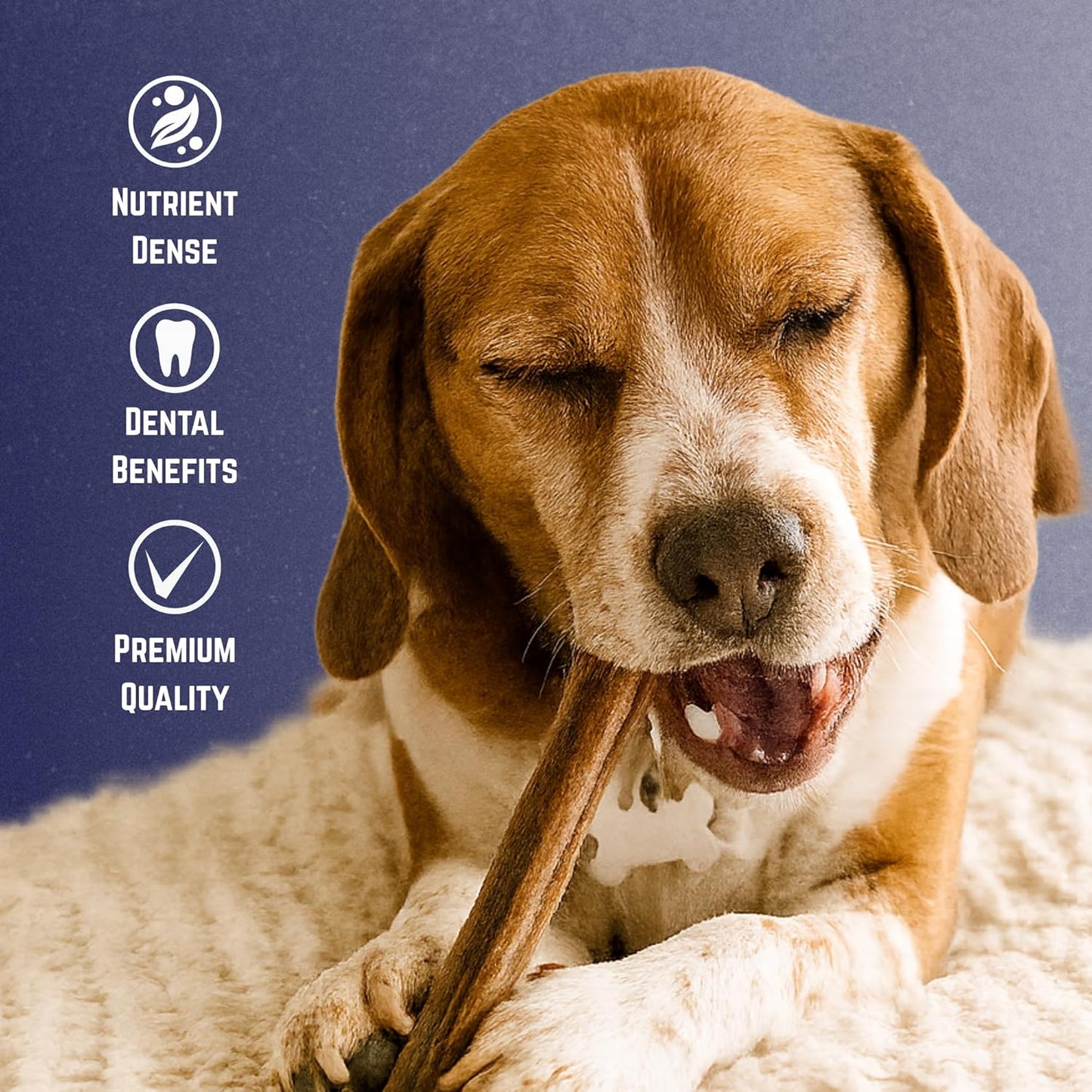 Devil Dog Pet Co. Bully Sticks – 6 Inch, 5 Pack, Standard Sized Dog Chews, 100% Natural, Single Ingredient, Free-Range Grass-Fed Beef – Long Lasting, Rawhide-Free Treats for Dogs