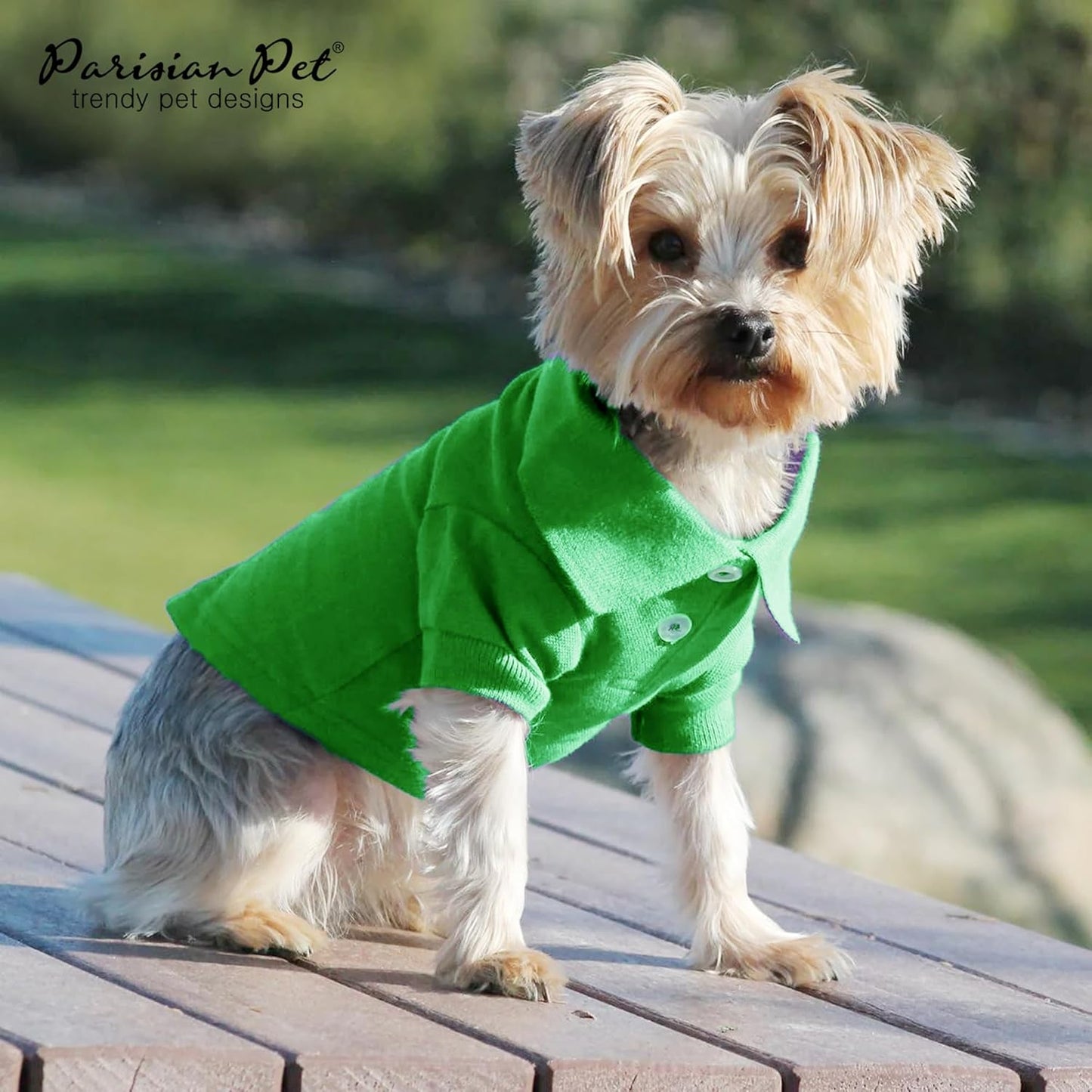 Parisian Pet Dog Polo Shirts - Breathable Cotton Shirt - Solid Green, Summer Pullover - Button Collar, XXS