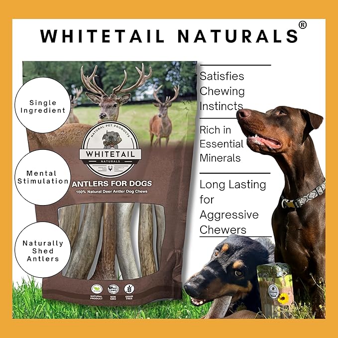 WhiteTail Naturals - Antlers for Extra Small Dogs (6 Pack) Deer Antler Dog Chew Bones for Extra Small Aggressive Chewers - Long Lasting Horn Chew Toys - Naturally Shed
