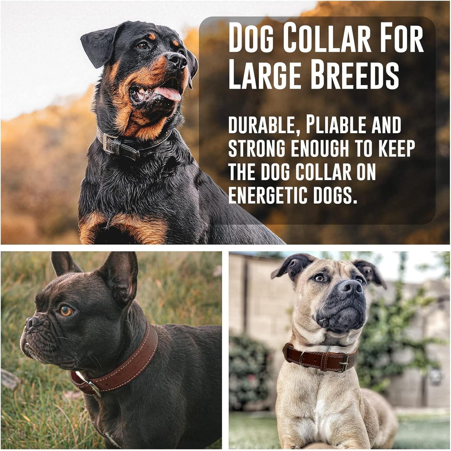 Hides & Knives Leather Dog Collar with Reinforced Hardware, Heavy Duty Dog Collars for All Breeds, Made of Top Grain Genuine Leather That is Soft & Durable (Black, LG)