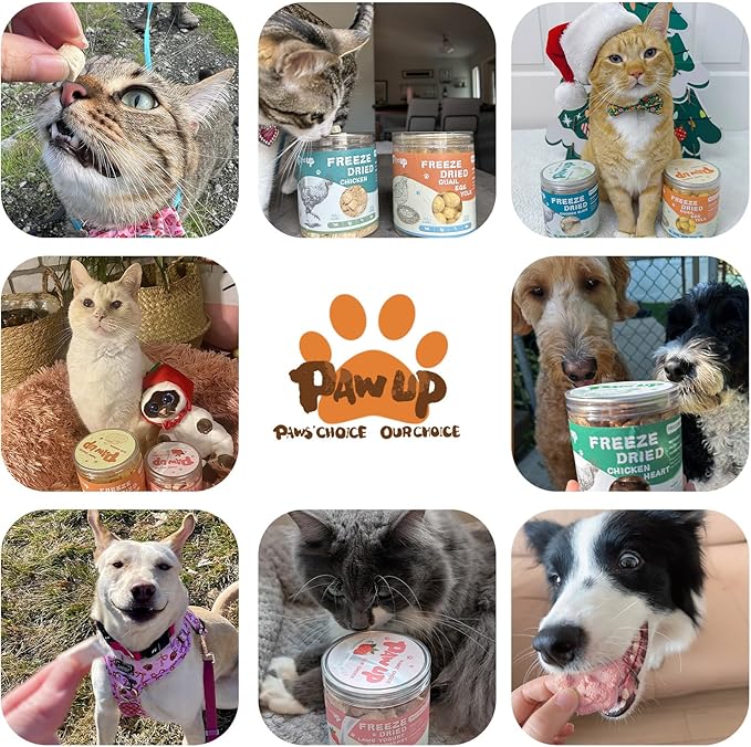 Freeze Dried Cat & Dog Treats, Natural Quail Egg Yolk, Rich in Antioxidants Cranberry Added, High-Protein Pet Snacks for Coat & Urinary Health, 3.5 oz