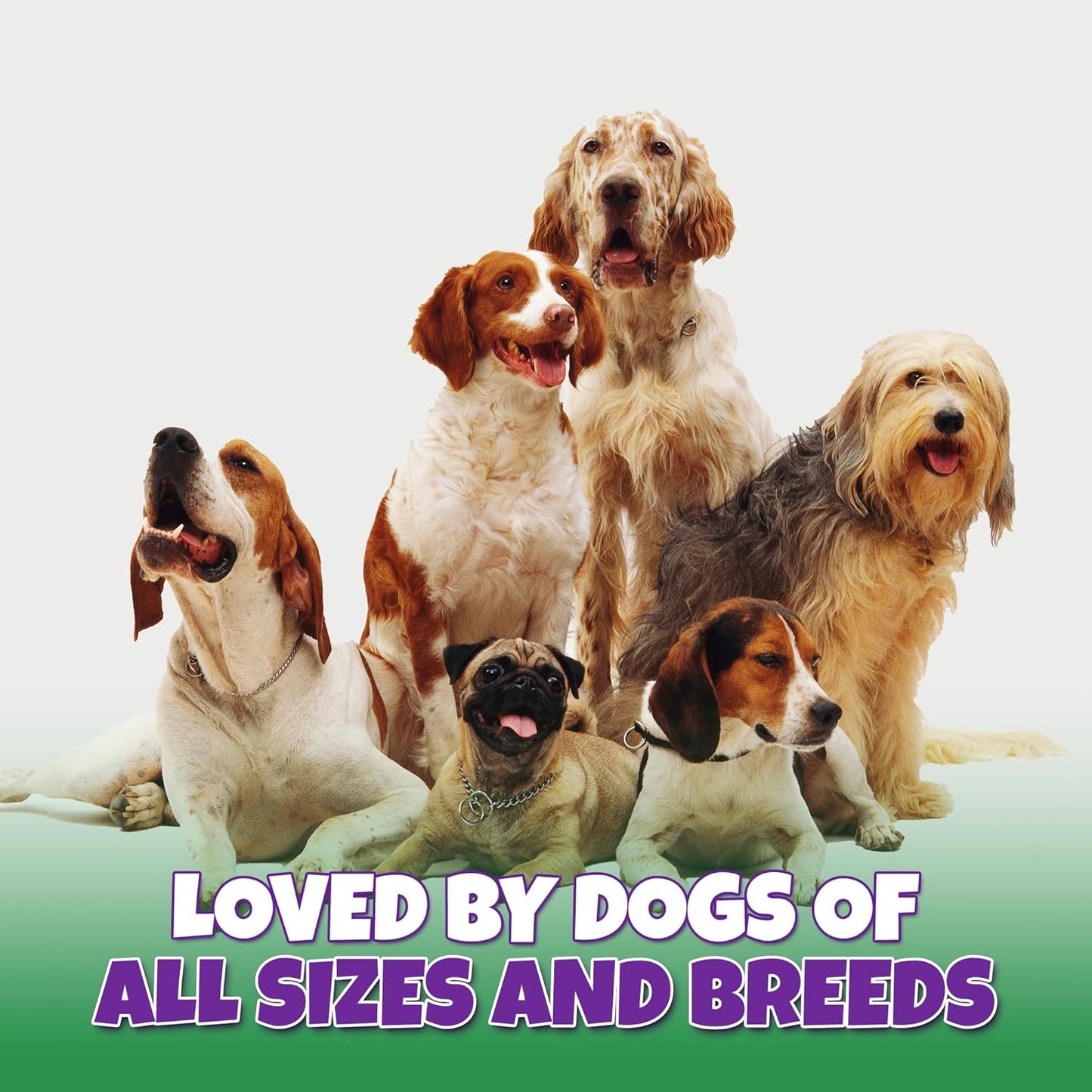 Marrow Bones for Dogs Large, Medium, & Small, All-Natural, USA Made, Healthy Bone Marrow Dog Treats, Filled Beef Bones That Support Dental Health, 3-Inch, 6 Count