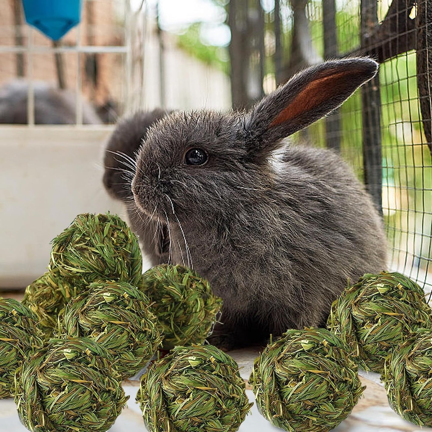 Hamiledyi 10 Pcs Rabbit Chew Ball Timothy Grass Ball Small Animal Activity Play Chew Toys Teeth Grinding for Bunny Rabbits Hamster Guinea Pigs Gerbils Chinchillas