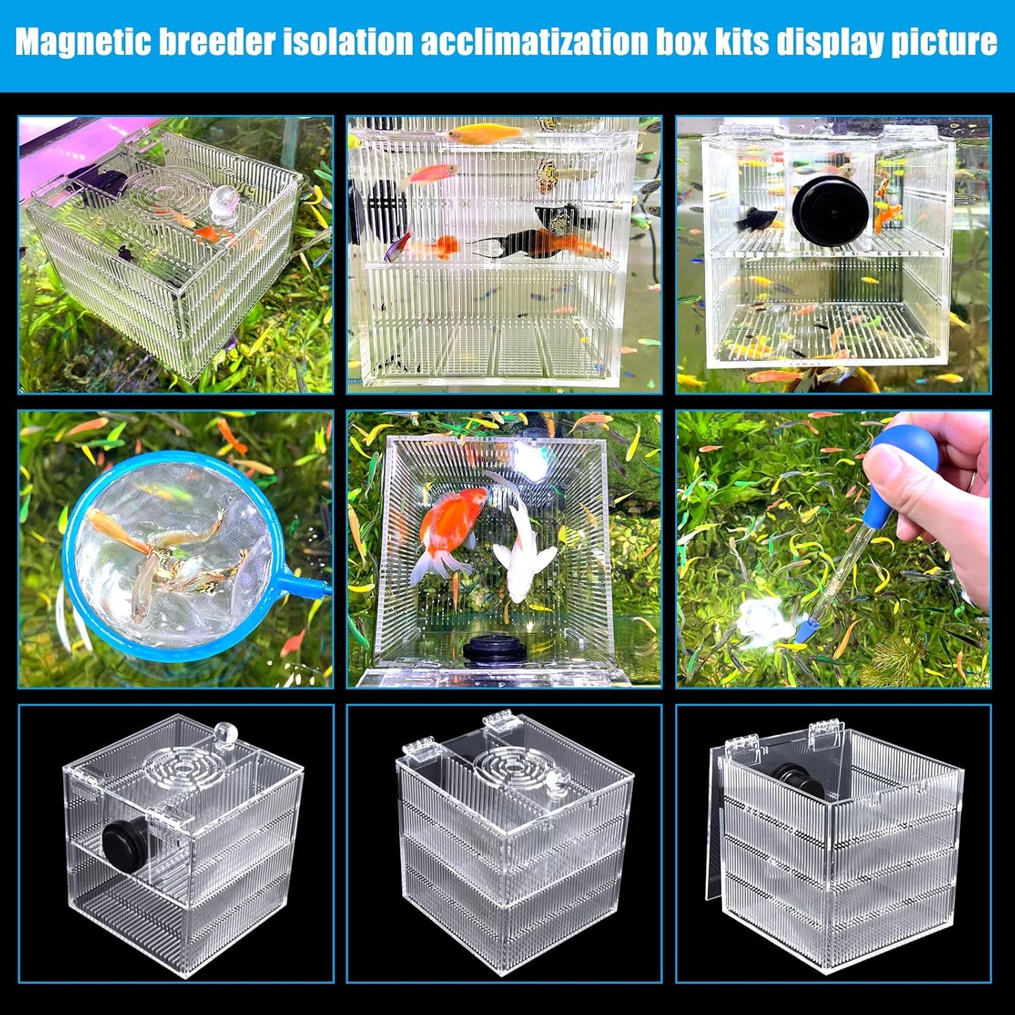 Magnetic Fish Breeder Box for Isolation Boxes Acclimation Hatchery breeding Incubator for Guppy Baby Betta Shrimp Saltwater Clownfish Coral Anemones Aggressive or Injured Fishes