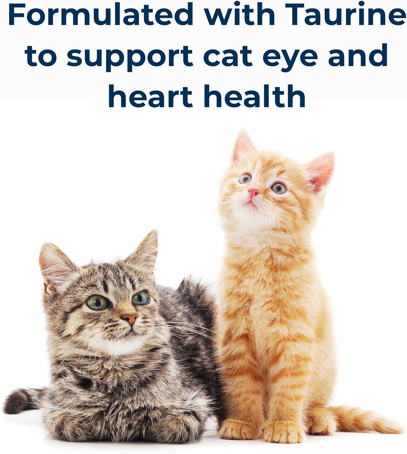 Pet-Ag Cat-Sip Real Milk Treat - 8 oz, 6 Pack - Ready-to-Feed Snack for Cats & Kittens - Easy to Digest with 99% Lactose-Free, Low-Fat Grade A Milk - Encourages Hydration - Promotes Eye & Heart Health