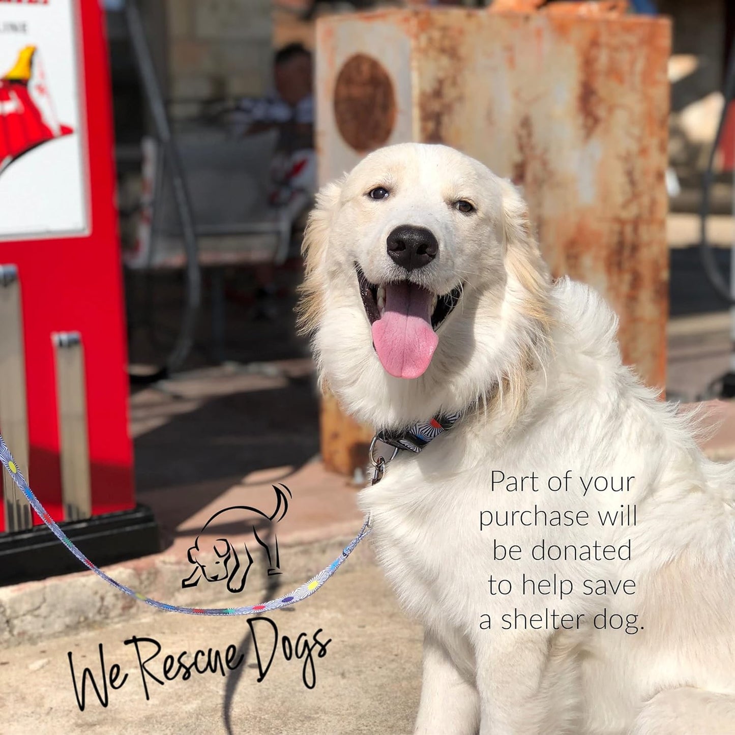 Lucky Love Dog, SOCO Collar - Large, Multicolor, Nylon, Unique Patterns, Adult Dogs, 15-25" Neck Size