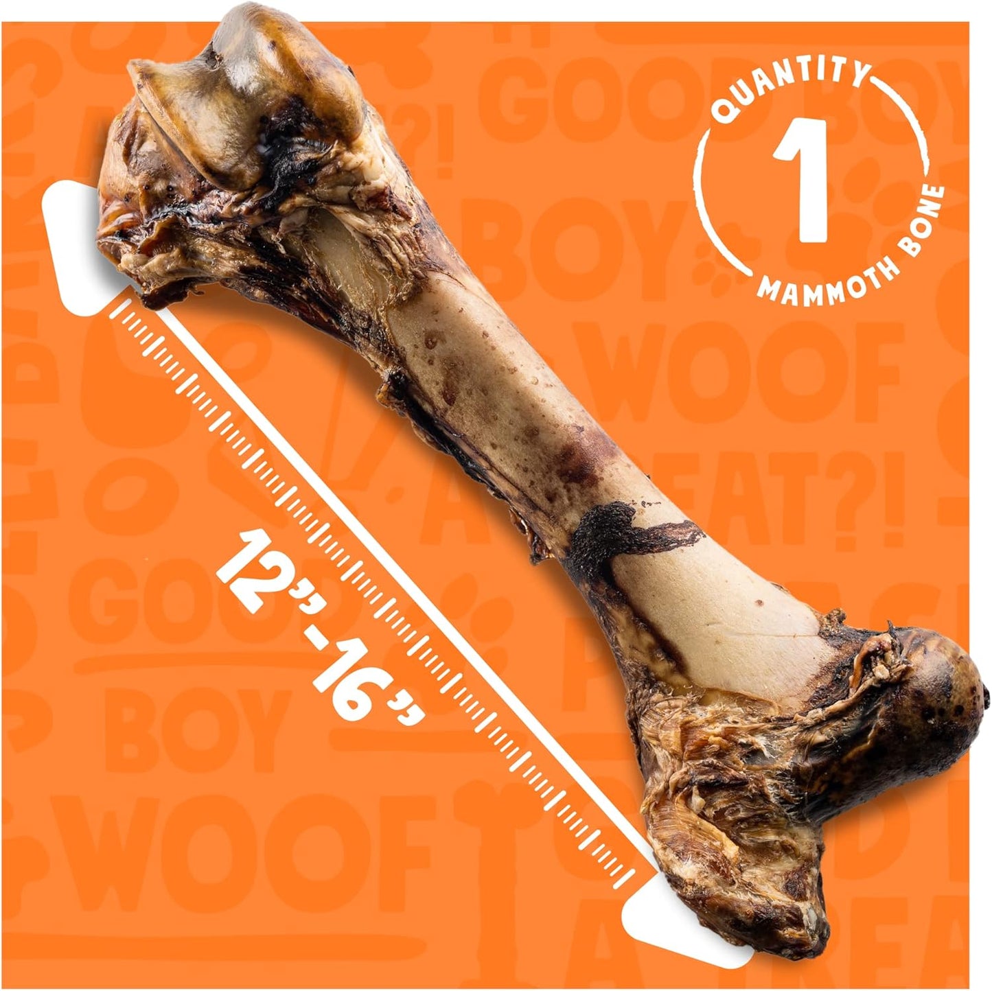 Mammoth Big Dog Bones for Large Dog Bone, 16" Femur Beef Bones for Agressive Chewers, Natural Giant Dog Bone (1 Pack)