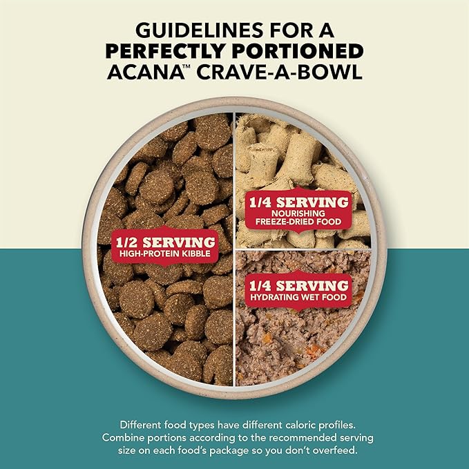 ACANA Premium Pate in Bone Broth Grain-Free Wet Dog Food Duck Recipe 12.8oz Cans (12 Count)
