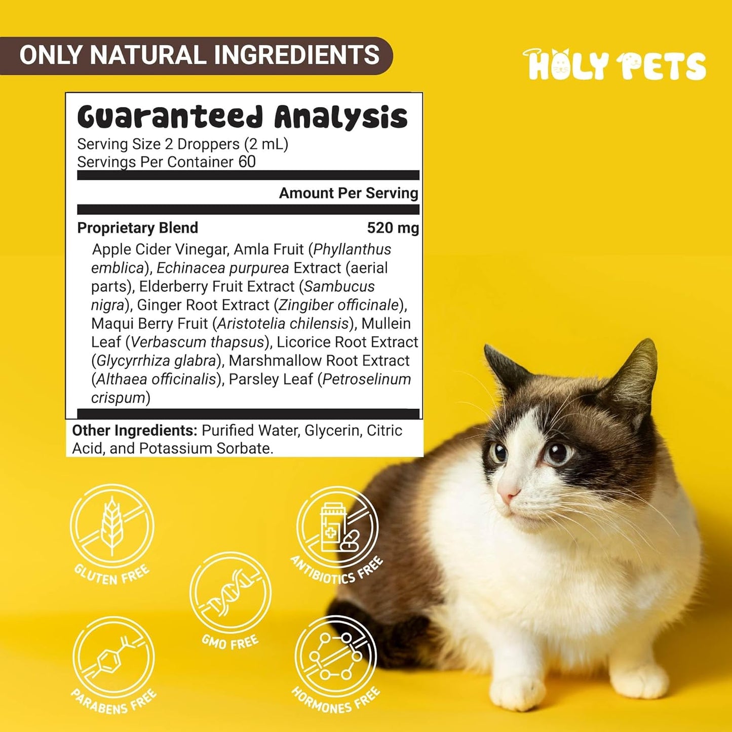 Cough Medicine for Dogs & Cats, Respiratory Infection Support - Sneezing Relief & Kennel Cough Treatment - Pet Asthma Support - Made with Natural Ingredients in The USA (4oz)