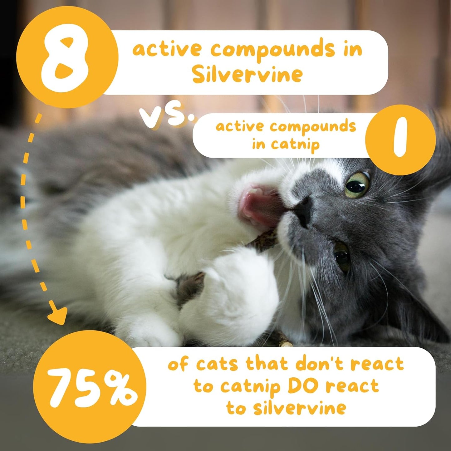 Hide & Scratch Premium Silvervine Sticks for Cats with Gall Fruit Powder for Extra Potency; Cat Enrichment Cat Chew Toy and Dental Sticks - More Effective Than Catnip Toys! (3 Packs of 12)
