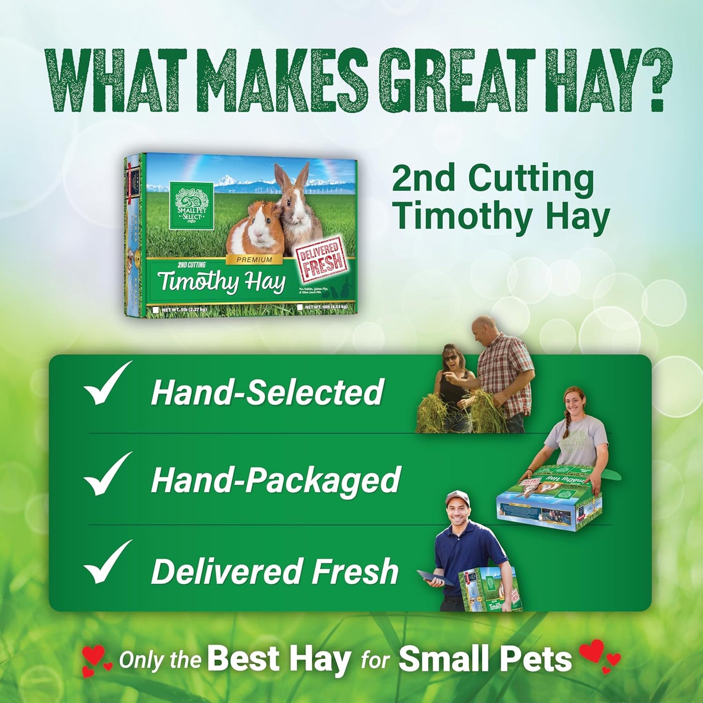 Small Pet Select 2nd Cutting Perfect Blend Timothy Hay, Food for Guinea Pig, Rabbit, Hamster, Bunny, Chinchilla, or Other Small Animals, Natural Hay Grown in The USA, 40lb