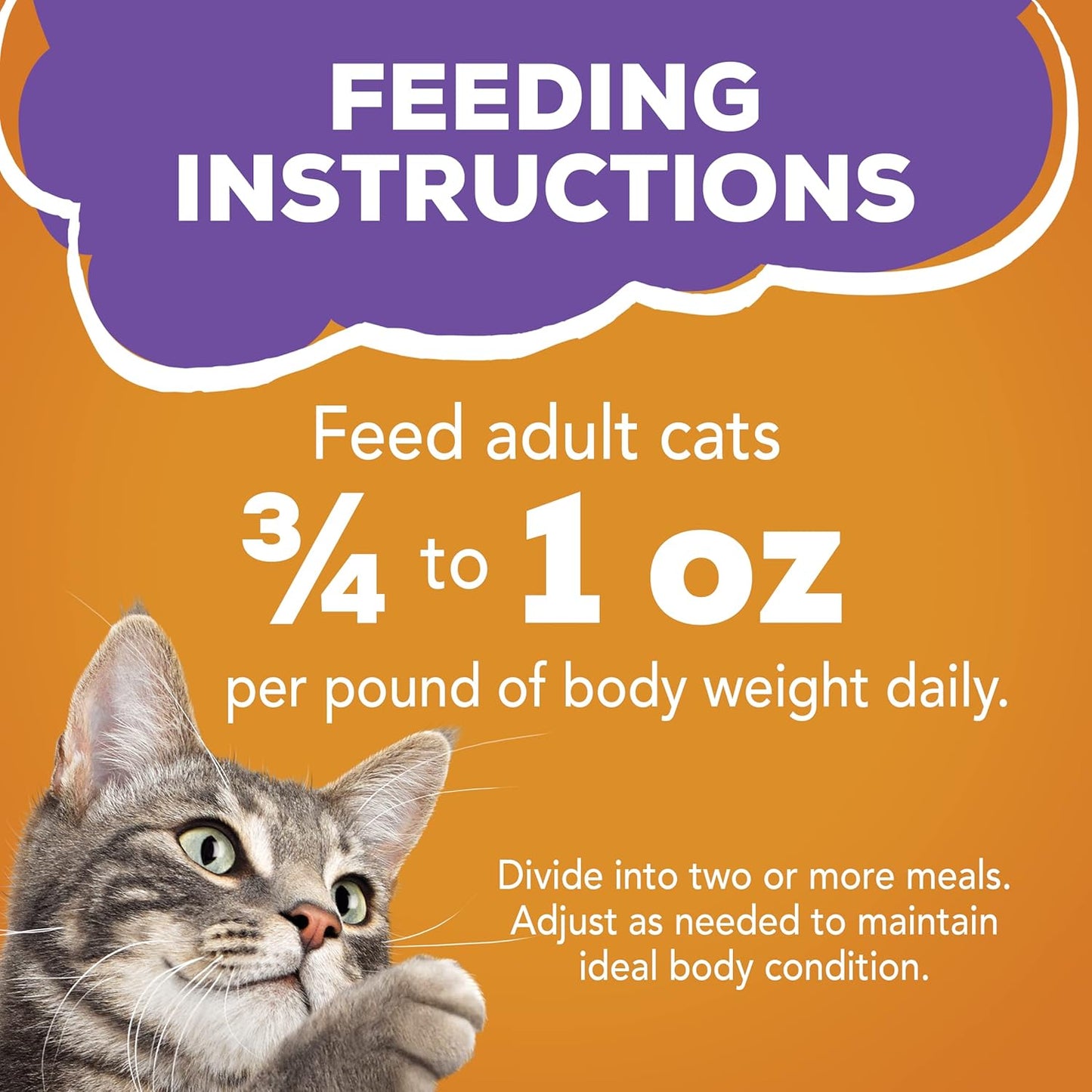 Purina Friskies Meaty Bits Wet Cat Food, Chicken Dinner in Gravy, Made with Real Chicken, Vitamins & Minerals, Canned Wet Cat Food, 5.5-Ounce Can (Pack of 12)