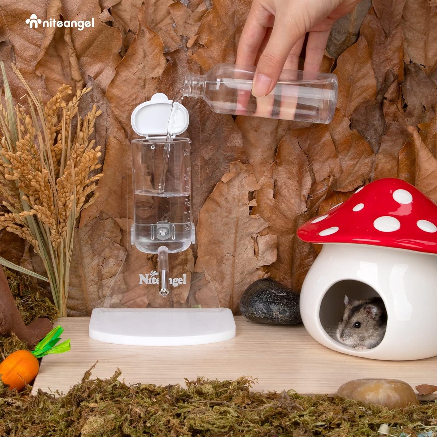 Niteangel 80ml Hamster Water Bottle with Stand No Drip Gerbil Water Feeder Dispenser for Hamster Gerbils Mice Degus Lemming Hedgehog Small-Sized Pet