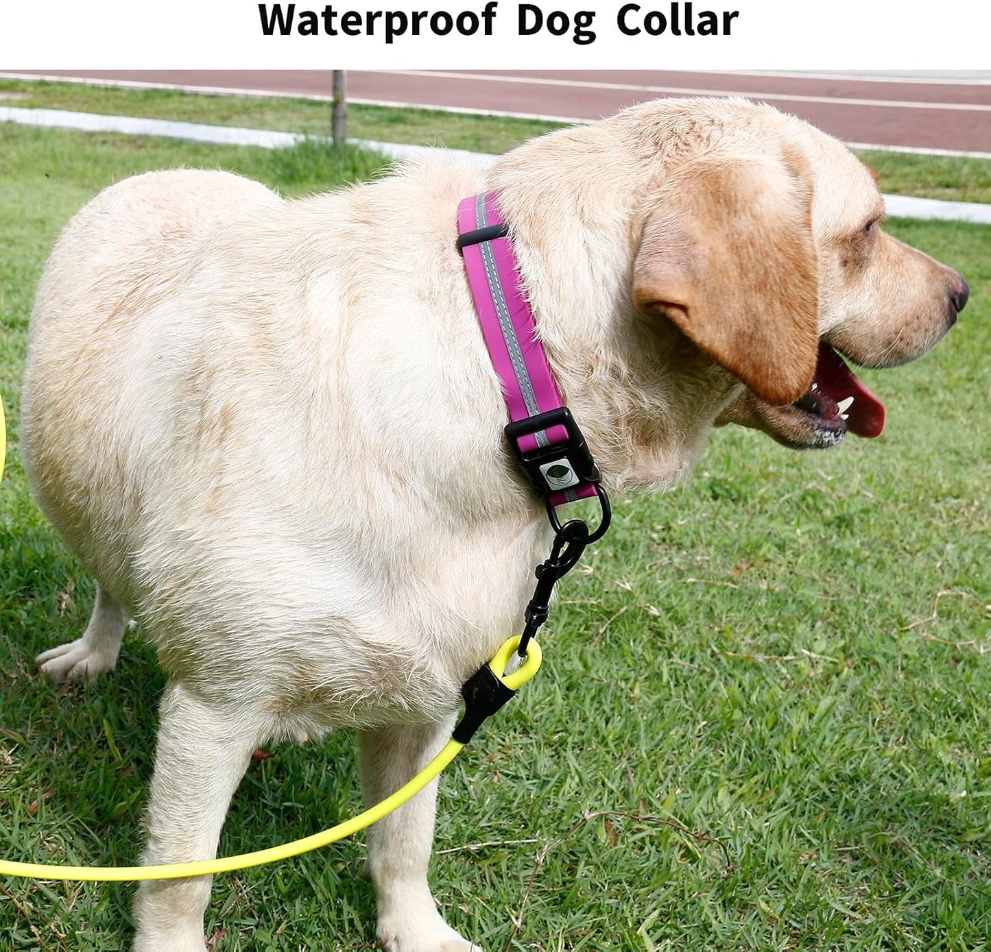 NIMBLE Dog Collar Waterproof Pet Collars Anti-Odor Durable Adjustable Polyester Soft with Reflective Cloth Stripe Basic Dog Collars S/M/L Sizes (Medium (11.81”-18.5”inches), Rose Purple)