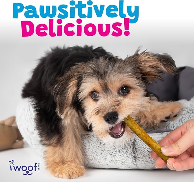 Coconut & Banana Pork Rolls - Healthy Natural Pork Treats - Rawhide Free Pet Chews - Long Lasting No Hide Chews for Small Medium Large Dogs - Raw Hide Free Puppy Chew Roll (1 Pack)