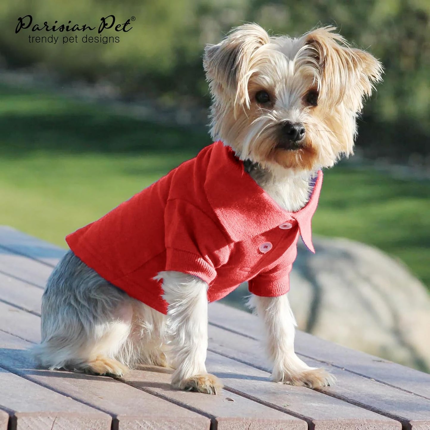 Parisian Pet Dog Polo Shirt - Breathable Cotton Shirt - Solid Red Color Summer Pullover - Button Up Collar Polo for Large Dogs