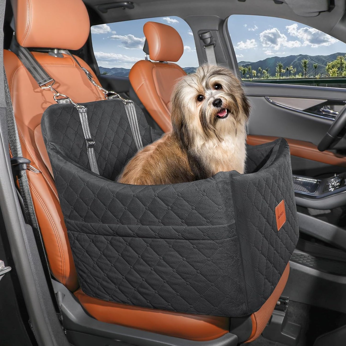 Small Dog Car Seat, Memory Foam Dog Booster Car Seats with Thick Cushion for Medium Dogs Under 35lbs, Detachable Washable Pet Seat with Storage Pockets,2 Safety Belts (Black, Medium)