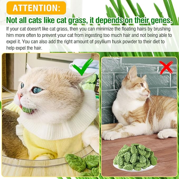 50g/1.76oz Cat Grass Treats, Cat Grass Teething Stick for Hairball Remove and Teeth Cleaning, Edible Cats Grass Stick Snack