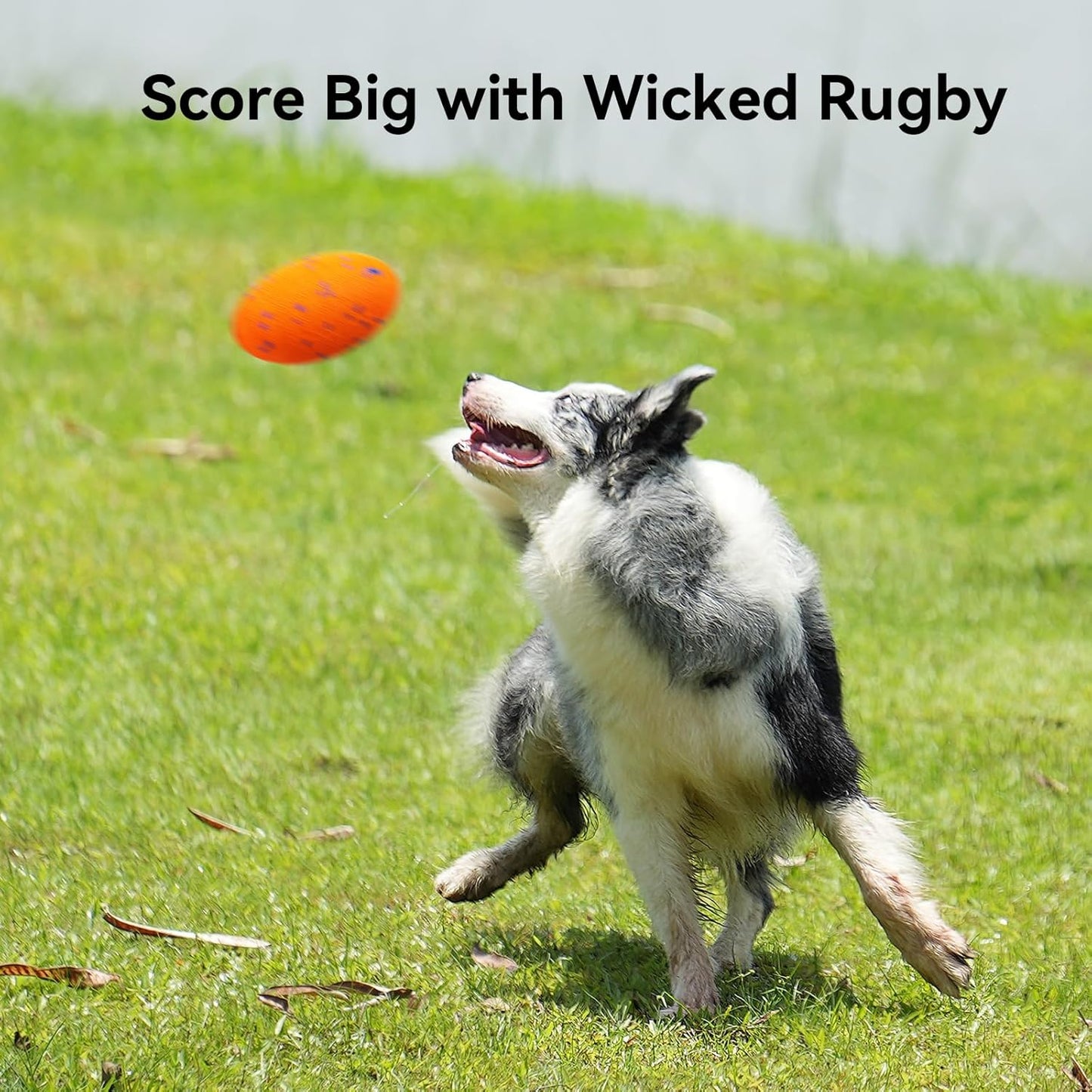 Cheerble Smart Interactive Dog Toy, Wicked Rugby, Squeaky Dog Toy Football, Automatic Moving, Bouncing, and Rotating, E-TPU Material, Bouncing Fetch Toy for Indoor/Outdoor Use and Small to Large Dogs