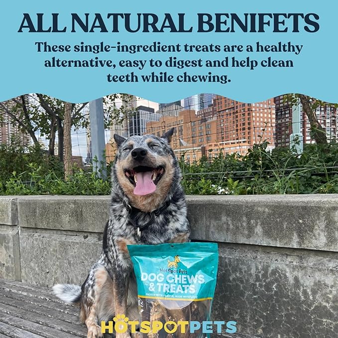 hotspot pets Beef Tendon Chews for Dogs - 8 Inch All Natural, Free-Range, Grass-Fed Premium USDA Gambrol Beef Tendon Stick Treats - Made in USA (1 Pound - 21-23pcs)