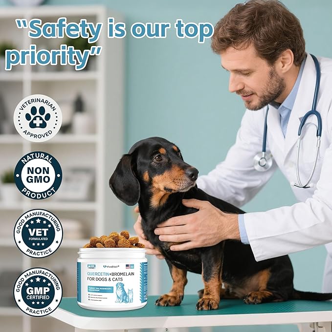 Dog Allergy & Itch Relief Chews – Quercetin, Bromelain, Colostrum & Mushroom Extracts – Skin & Ear Soothing Support for Yeast Infection, Hot Spots & Seasonal Allergies - 120 Treats