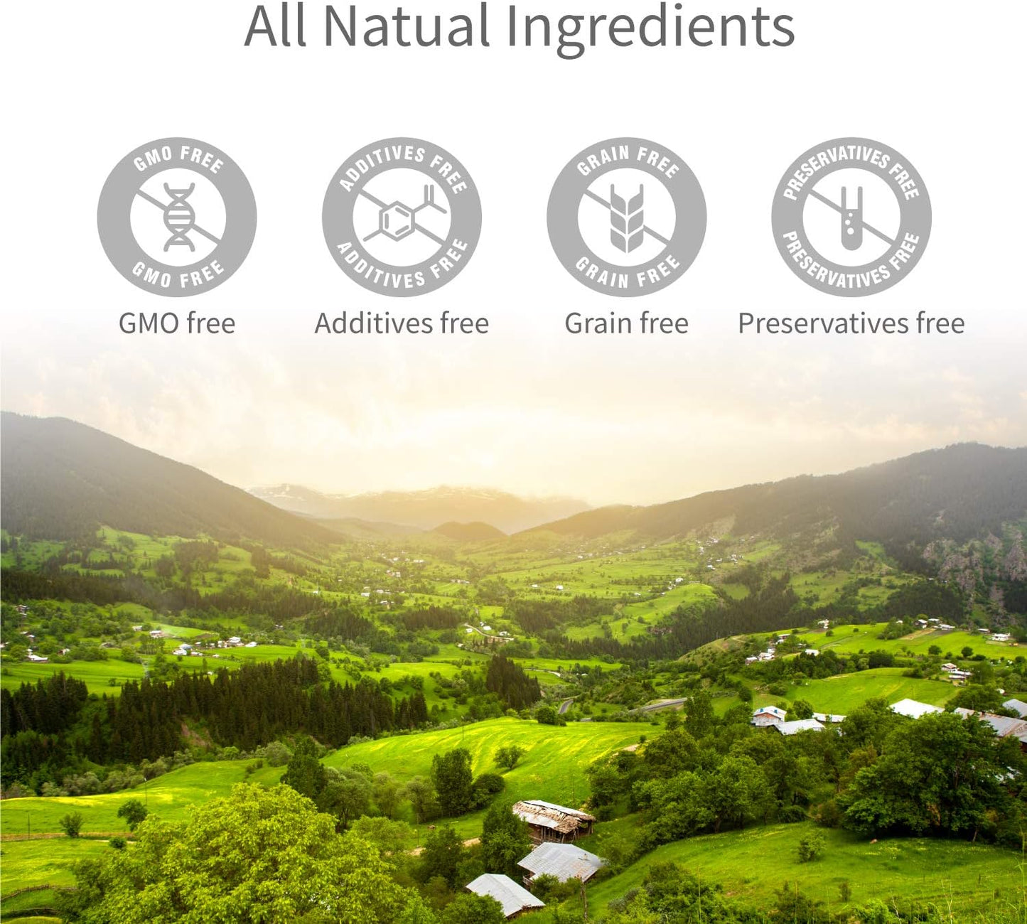 PAPILUX Turkey Tendon for Dogs, Hypoallergenic, All Natural Easily Digest Dog Chew Treat