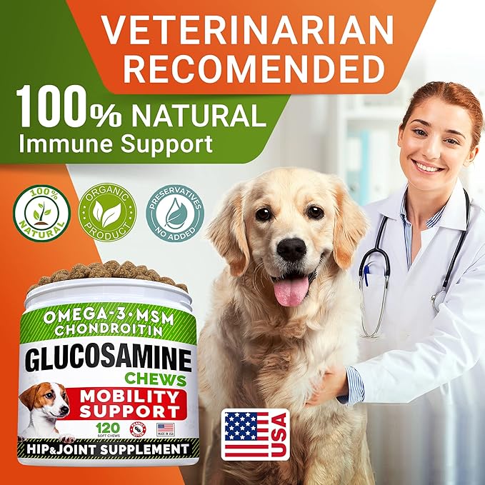 Glucosamine Treats for Dogs - Joint Supplement w/Omega-3 Fish Oil - Chondroitin, MSM - Advanced Mobility Chews - Joint Pain Relief - Hip & Joint Care - Peanut Butter Flavor - 240 Ct