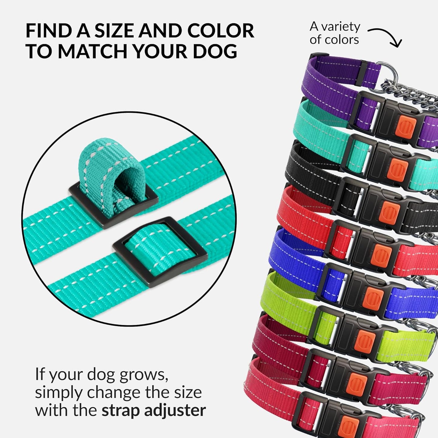 CollarDirect Martingale Dog Collar with Stainless Steel Chain and Quick Release Buckle - Reflective Collar for Large, Medium, Small Dogs - Mint Green, Large (Neck Size 17"-22")