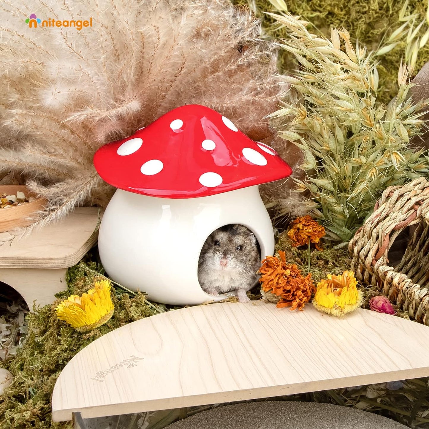 Niteangel Ceramic Hamster Habitat Hideout: - Hideaway House for Syrian Dwarf Hamster Mice Gerbils Lemmings or Other Similar-Sized Small Pet (Mushroom-Shaped)