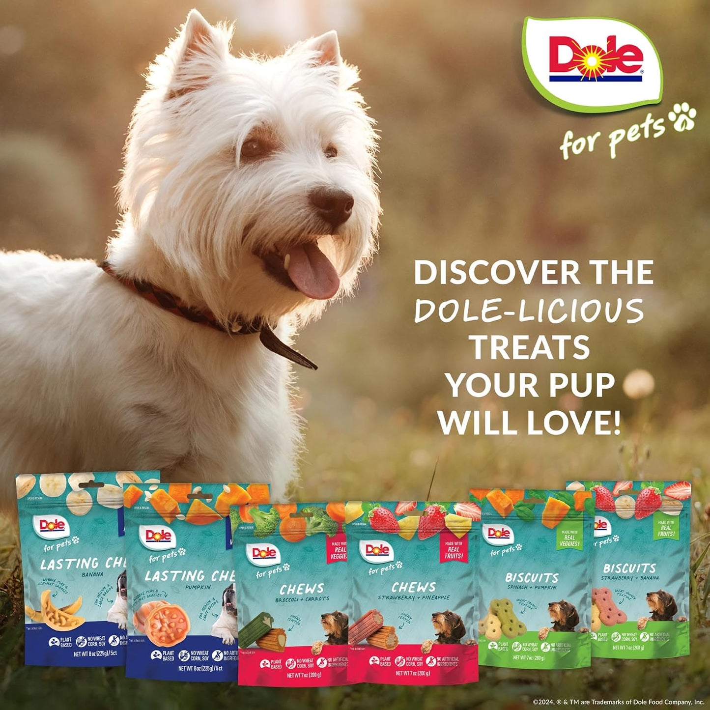 Dole for Pets Freshly Fetched Lasting Chew, Banana Flavor Dog Treats | Flavored with Real Fruit, No Wheat, Corn, Soy, Artificial Flavors, Colors, Preservatives, or Animal Products, 8 Ounce - 6 Pack