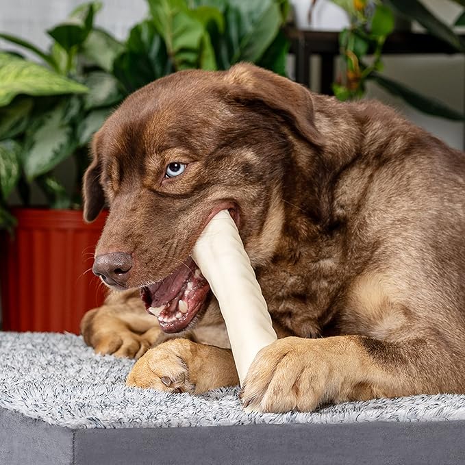 Pet Factory 100% Made in USA Beefhide 12" Roll Dog Chew Treat - Natural Flavor, 1 Count/1 Pack