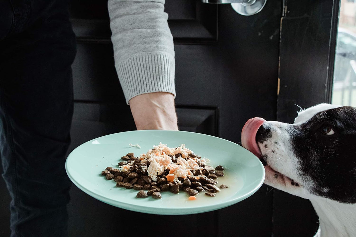 Nulo Freestyle Puppy & Dog Wet Dog Food Topper, Premium All Natural Grain-Free, Real Meat Dog Food Topper with High Animal-Based Protein and Only 5 or Less Ingredients with No Additives