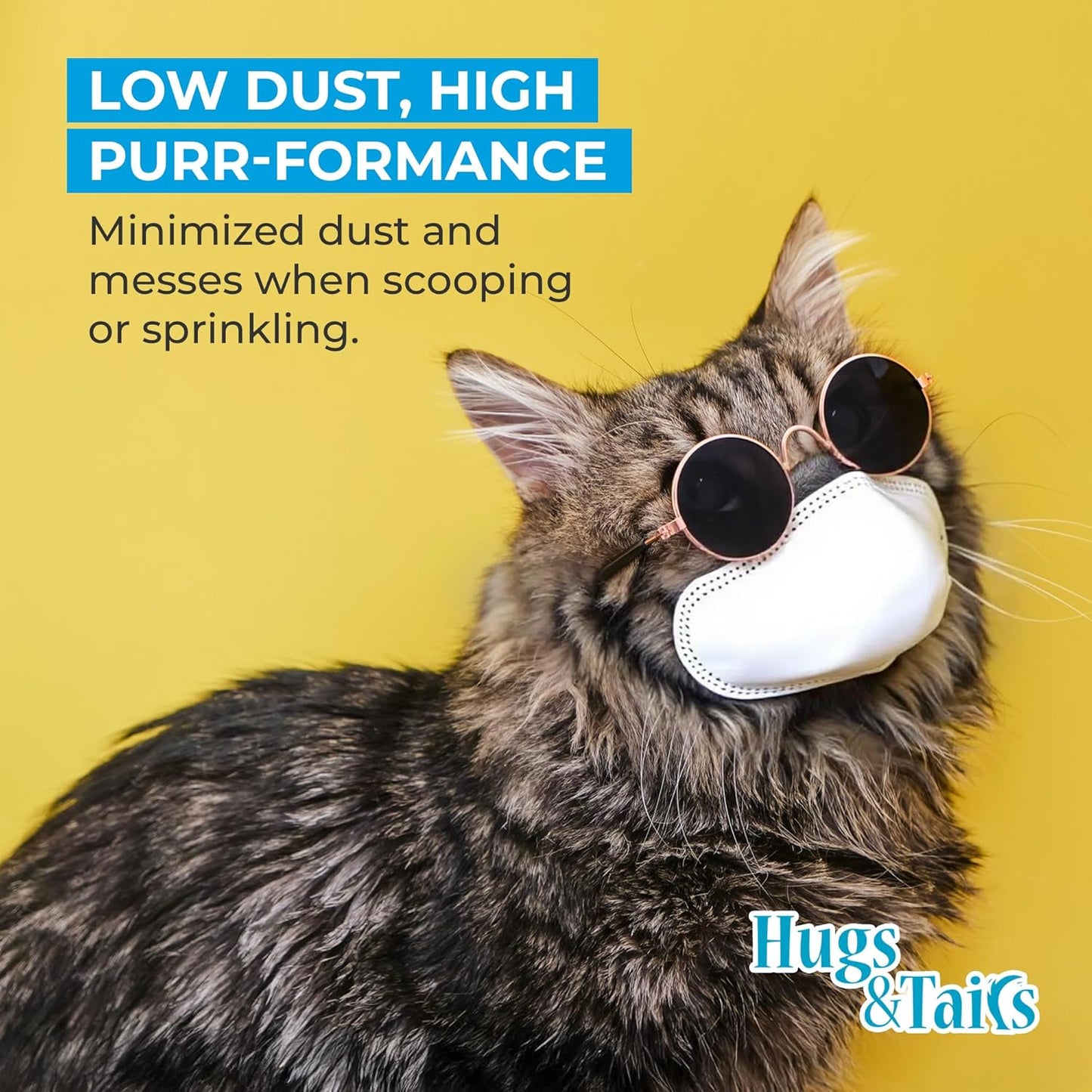 Cat Litter Deodorizer – Pet Safe Odor Eliminator & Housebreaking Supplies for Cats, Kittens, & Small Pets – Natural, Unscented, Non Toxic, Low Dust, 2 lbs, by HugsandTails