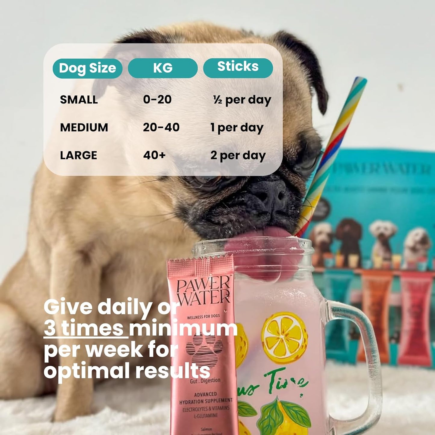 Dog Gut Health Supplement with Salmon Oil, Prebiotics & Probiotics | Digestion Support Powder for Dogs | Sensitive Stomach, Loose Stool & Gas Relief | Natural Hydration Drink Mix