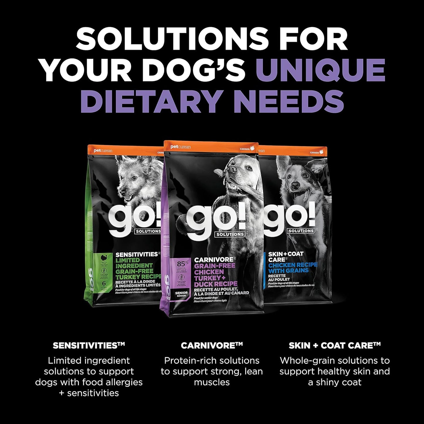 Go! Solutions Carnivore, Grain-Free, Protein Rich Dry Dog Food, Chicken, Turkey and Duck Senior Recipe, 12 lb Bag